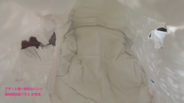 アテント 昼一枚安心パンツ 長時間快適プラス 女性用 (上から見た内部)